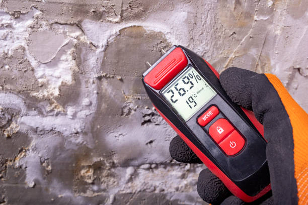 Best Crawl Space Mold Removal  in Weatogue, CT