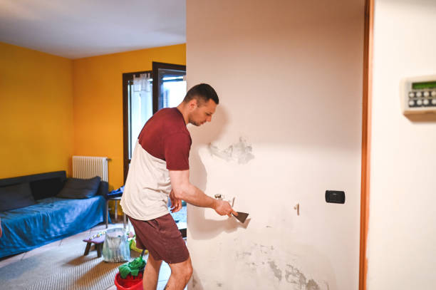 Best Residential Mold Removal  in Weatogue, CT